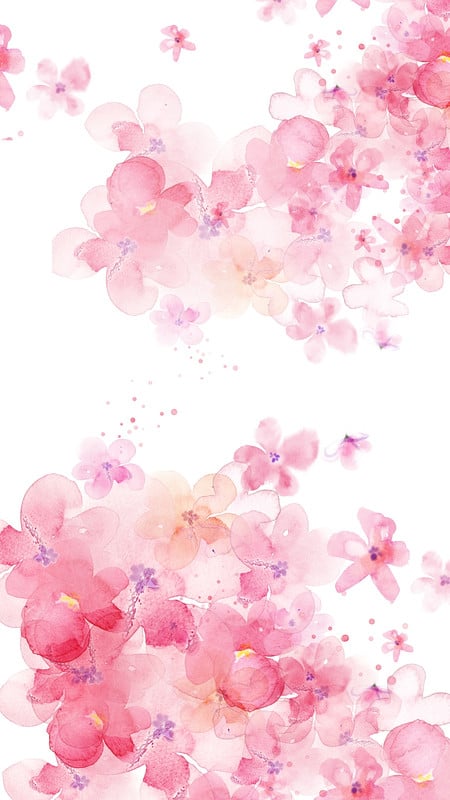 Download Instagram Story Pink Aesthetic Peonies Flowers Wallpaper |  Wallpapers.com