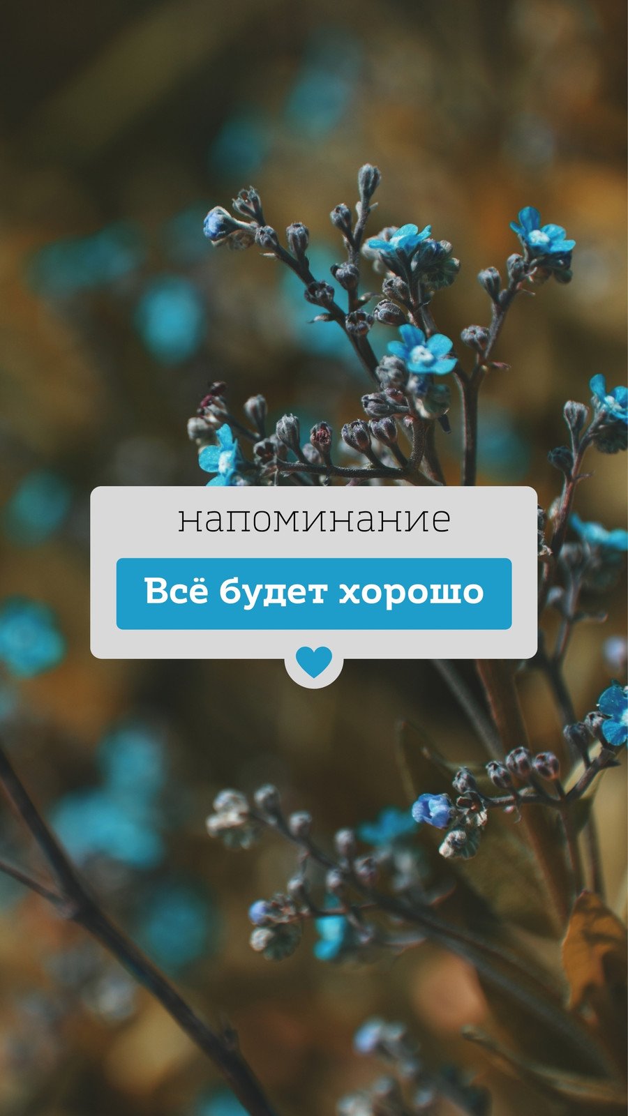 Страница 2 — Бесплатные обои на телефон | Скачайте заставку на телефон |  Canva