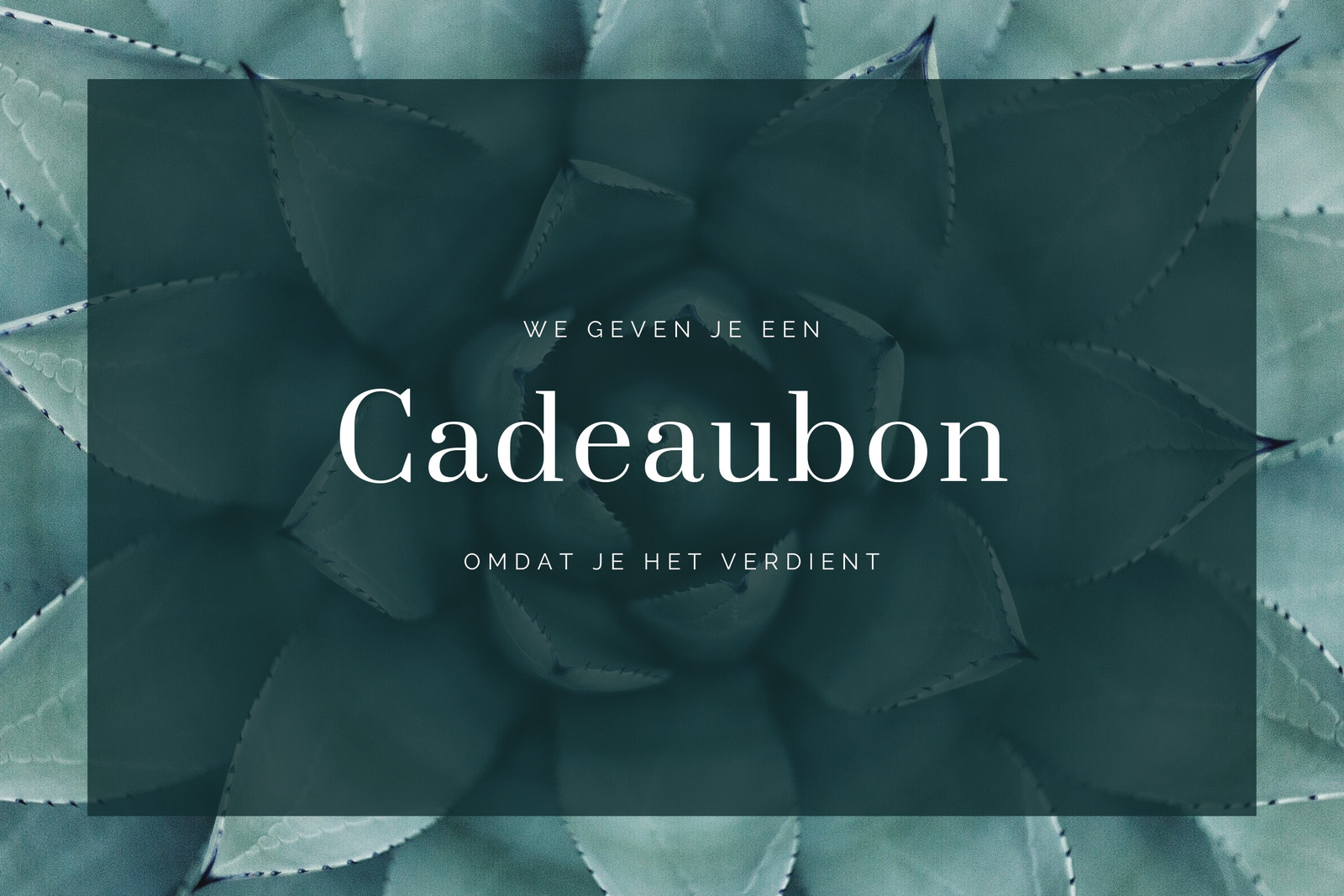 & Print Cadeaubonnen | Canva