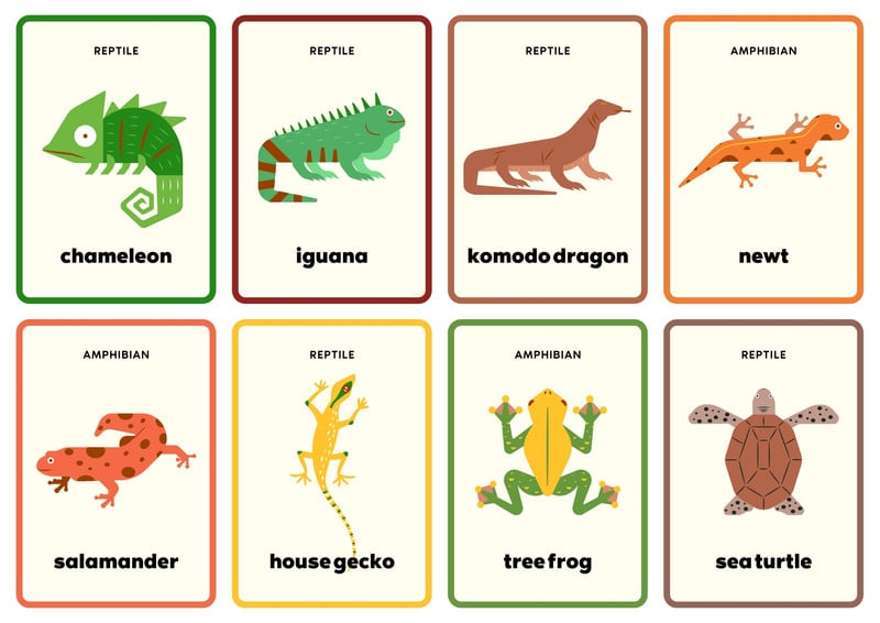 free-animal-flashcards-to-customize-and-print-canva