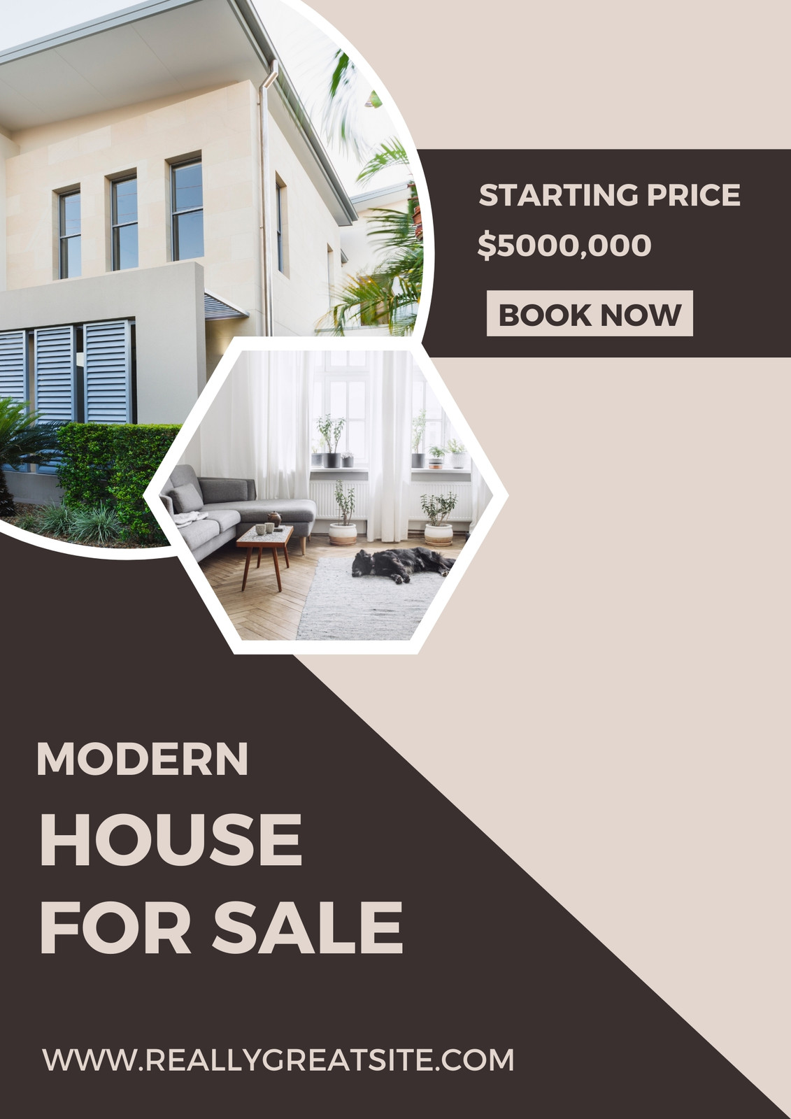 https://marketplace.canva.com/EAE6dwVvWHc/2/0/1131w/canva-modern-house-for-sale-%28flyer%29-94W1bnT0GQM.jpg