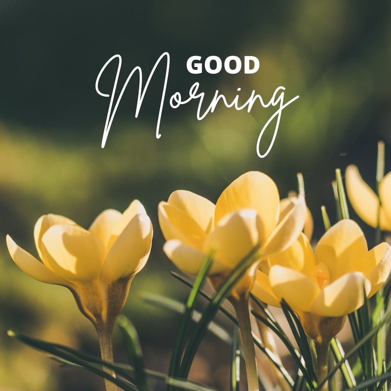 Free and customizable good morning templates