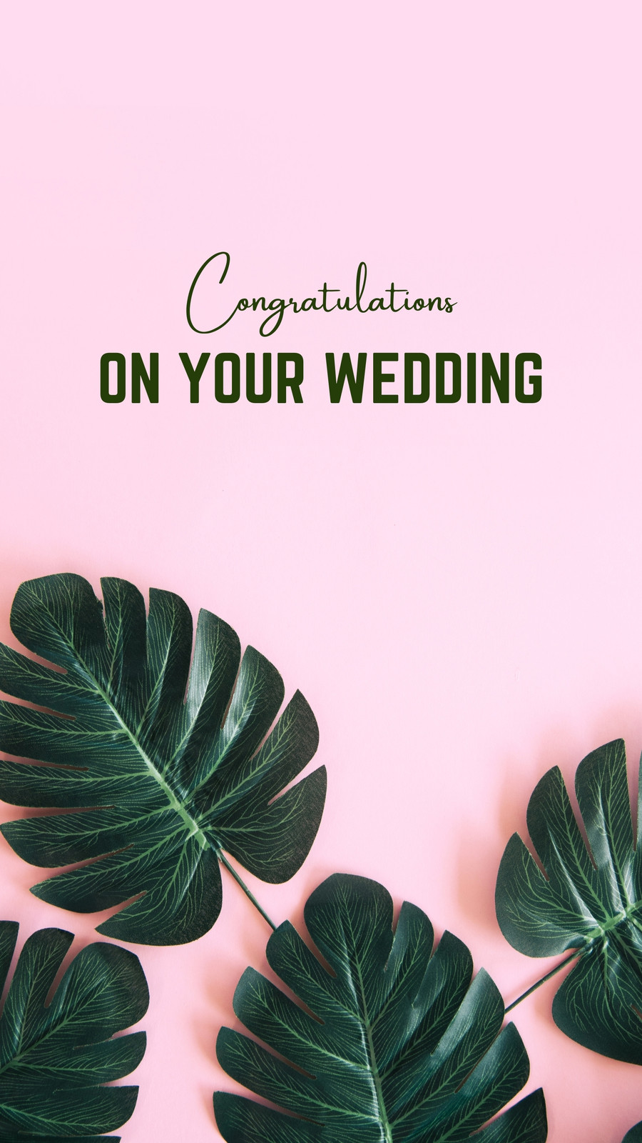 Congratulations Images  Browse 1918186 Stock Photos Vectors and Video   Adobe Stock