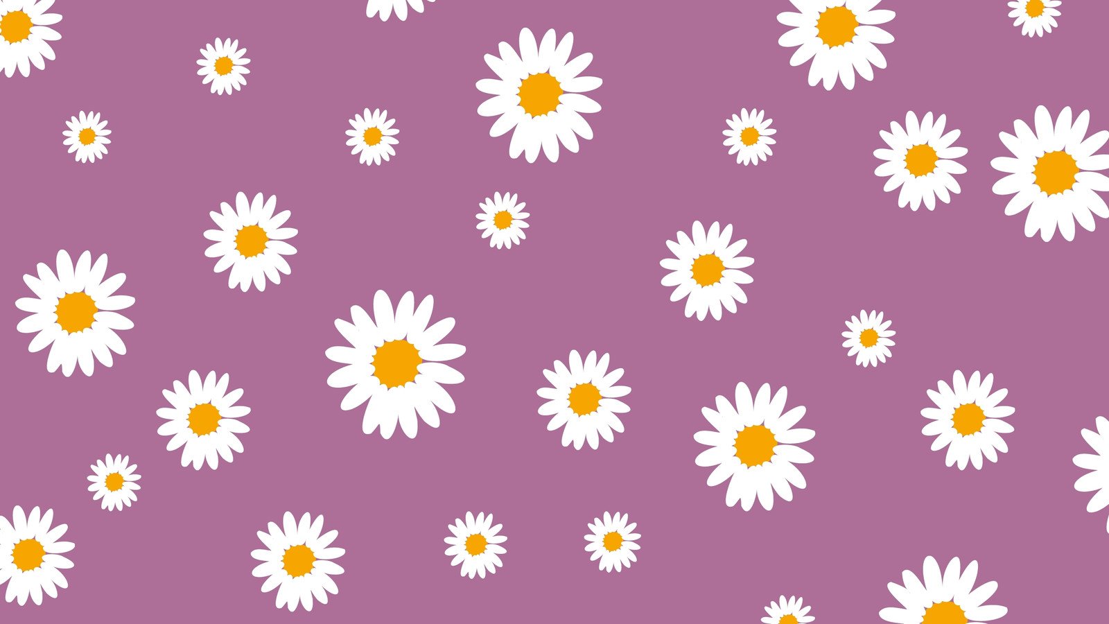 Best Atumn Daisy Flower Desktop Wallpaper Photos Free Download