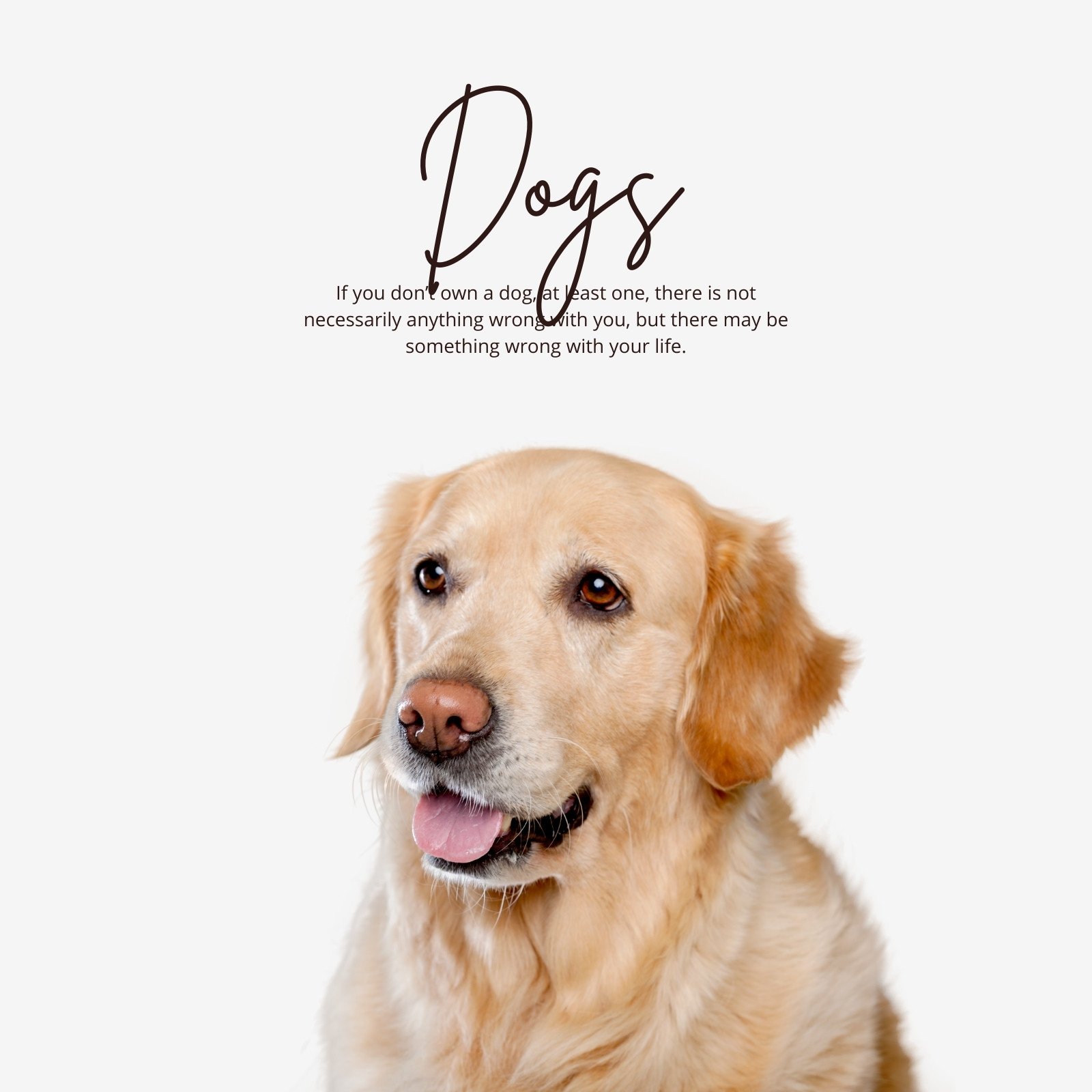 Page 2 - Free and customizable dogs templates