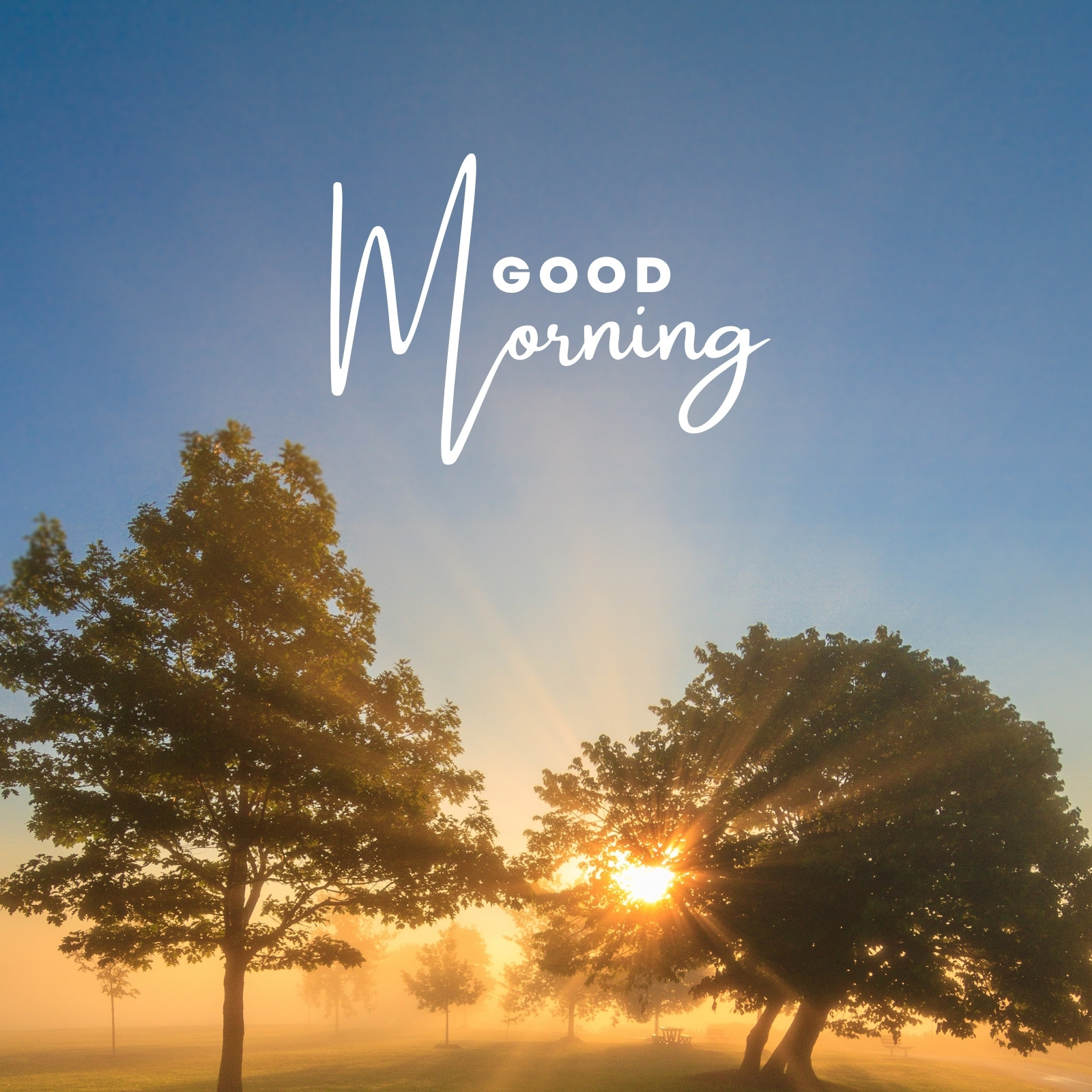 Page 6 - Free and customizable good morning wallpaper templates