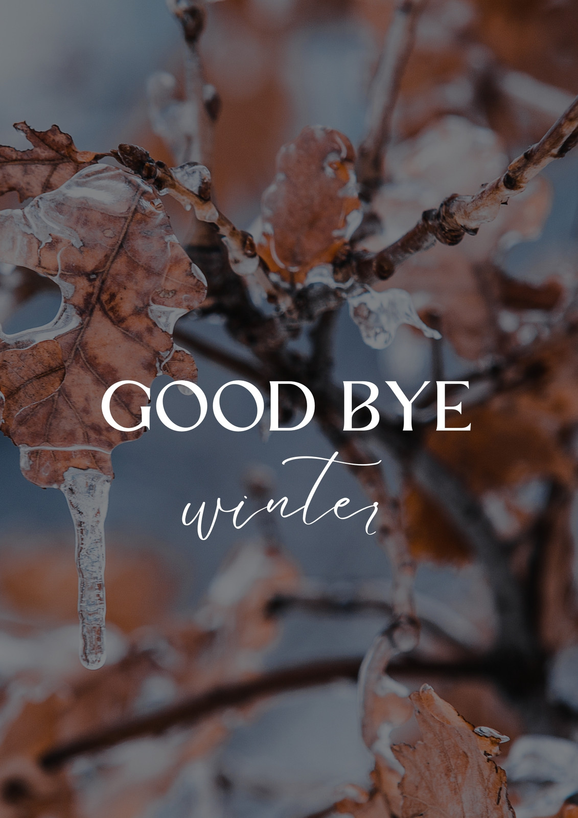 Free and customizable winter templates