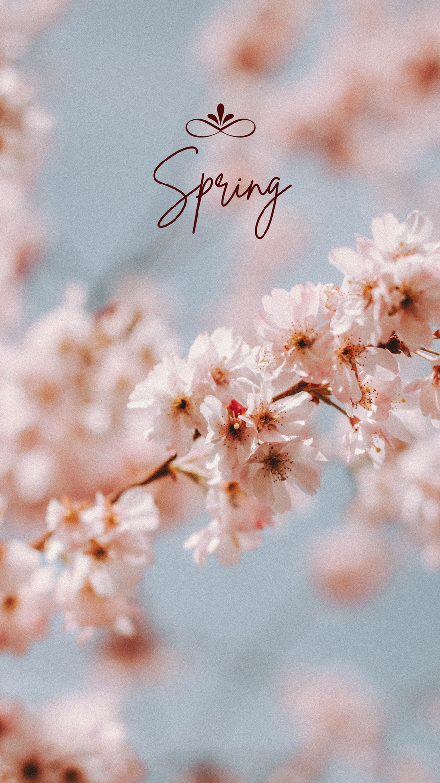 Download Cute Spring Phone Watercolor Flowers Wallpaper  Wallpaperscom