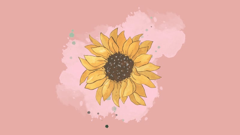 sunflower wallpaper desktop