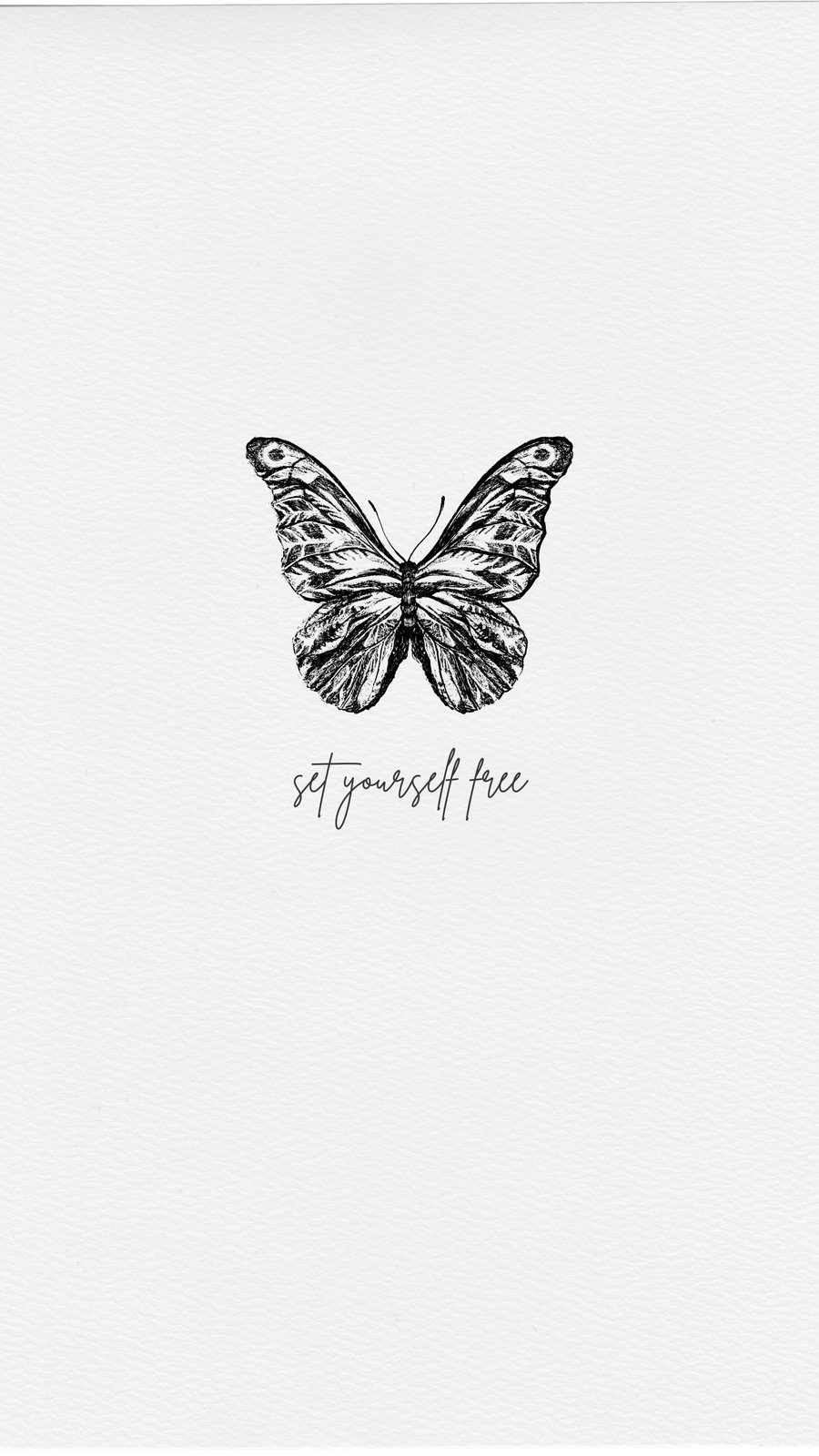 Page 6 - Free and customizable butterfly templates