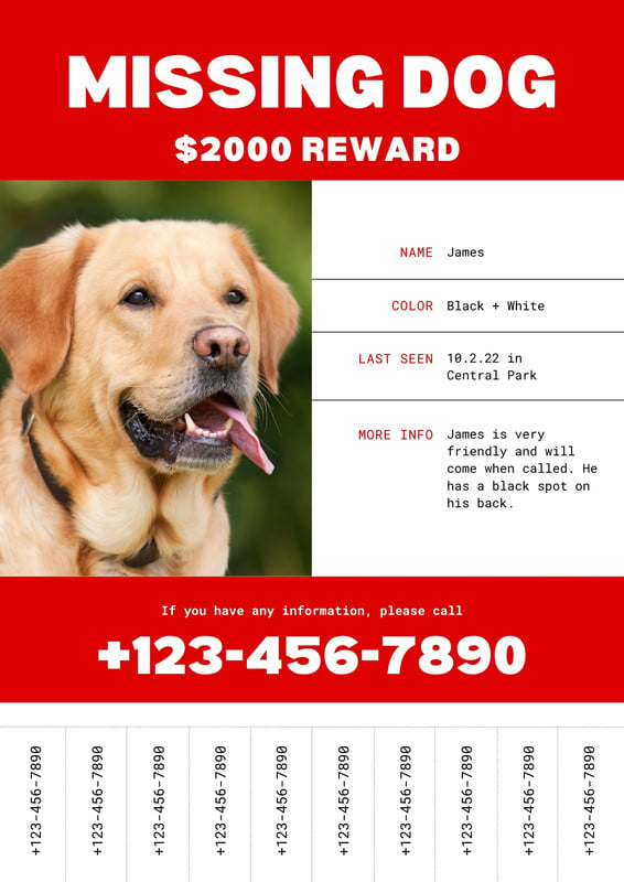 Free printable customizable lost dog poster templates Canva