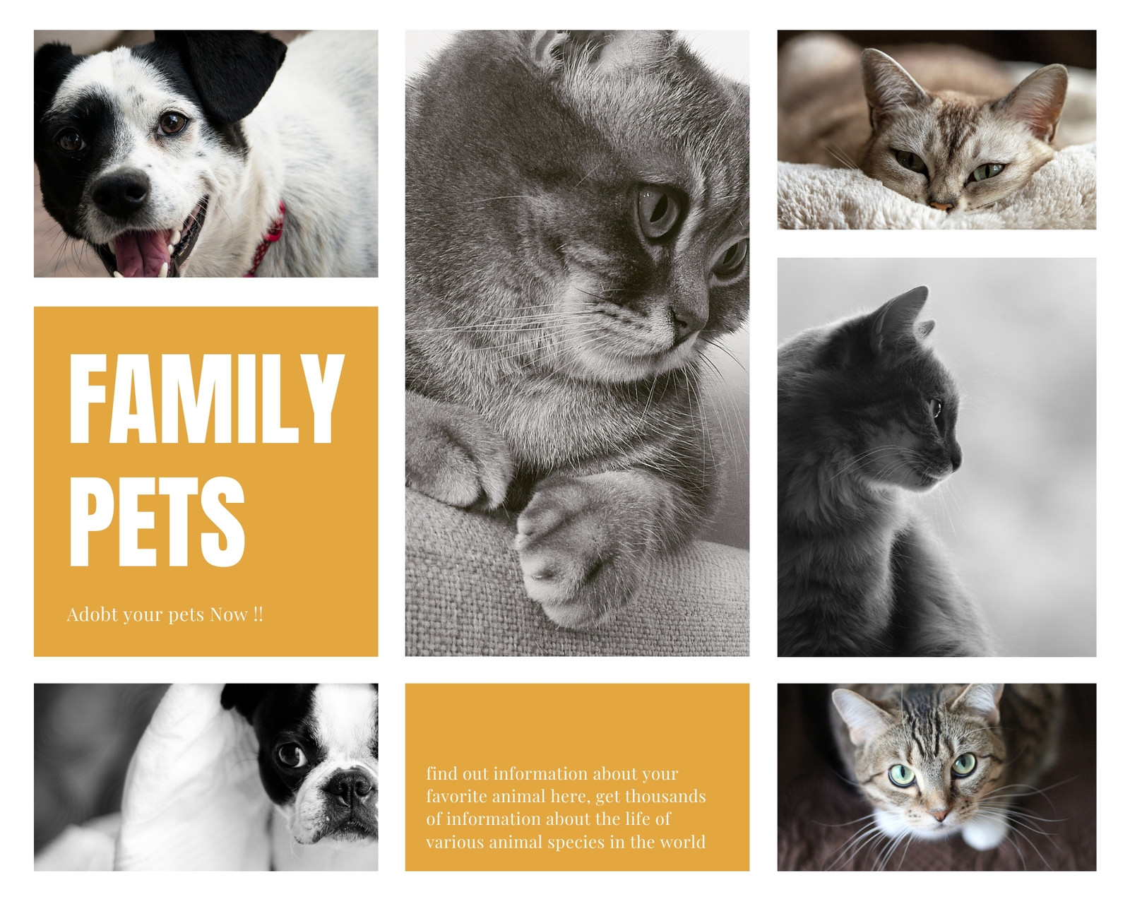 Free printable, customizable pet photo collage templates | Canva