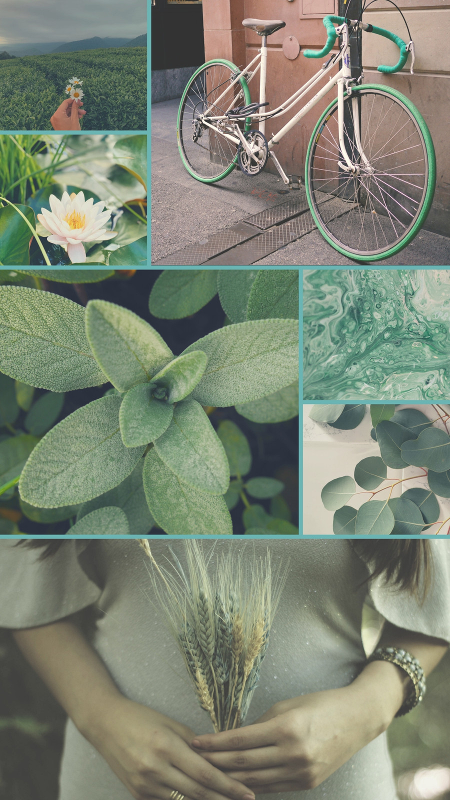Sage green aesthetic wallpaper - Apps on Google Play