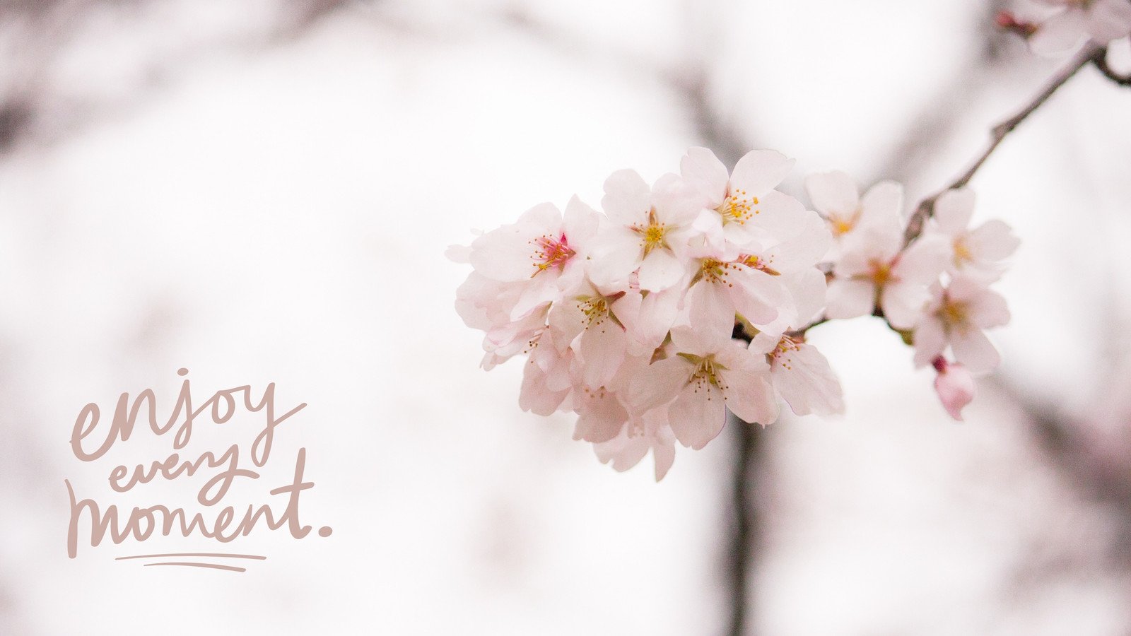 Page 3 - Free and customizable spring desktop wallpaper templates