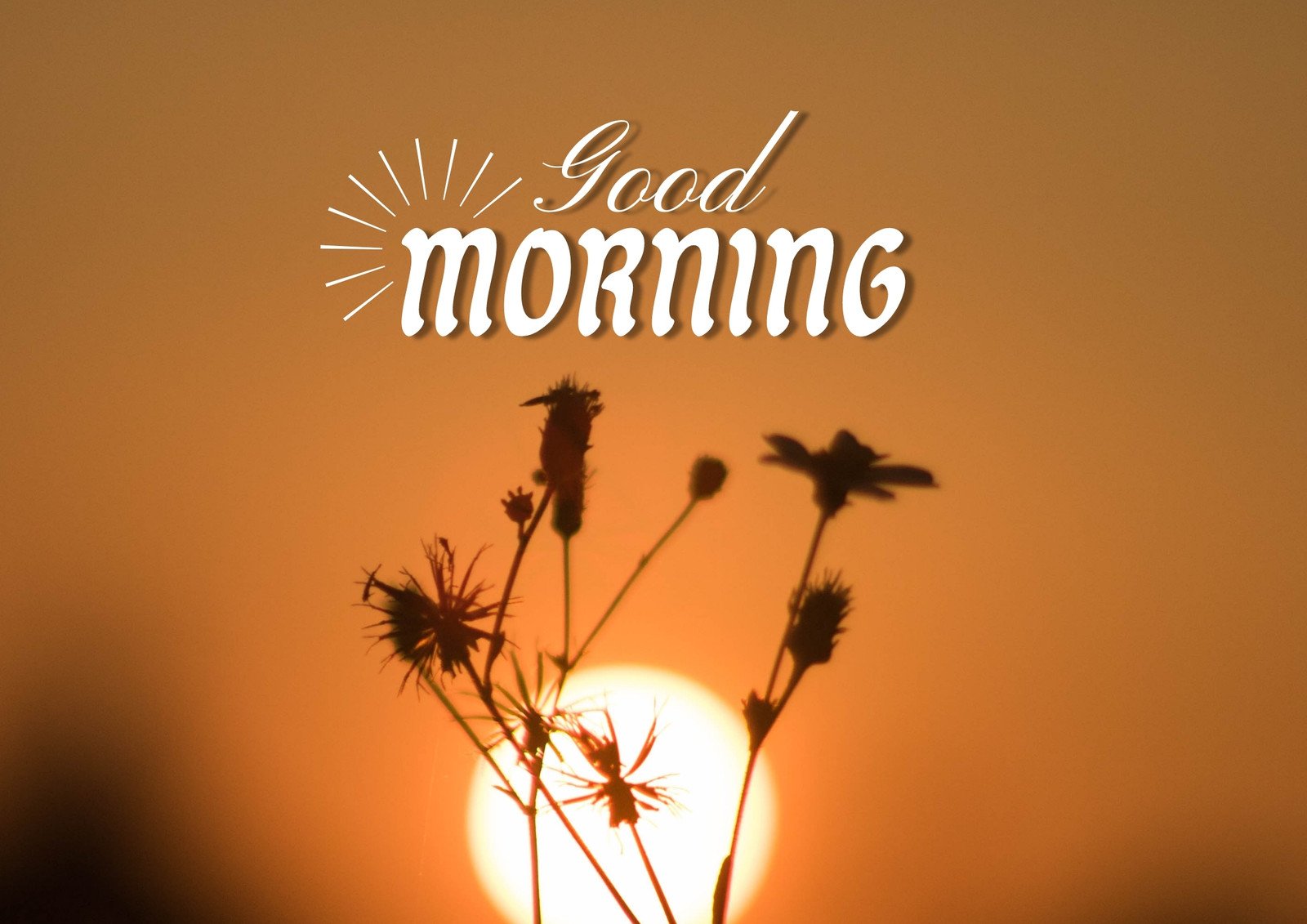 Free and customizable good morning wallpaper templates