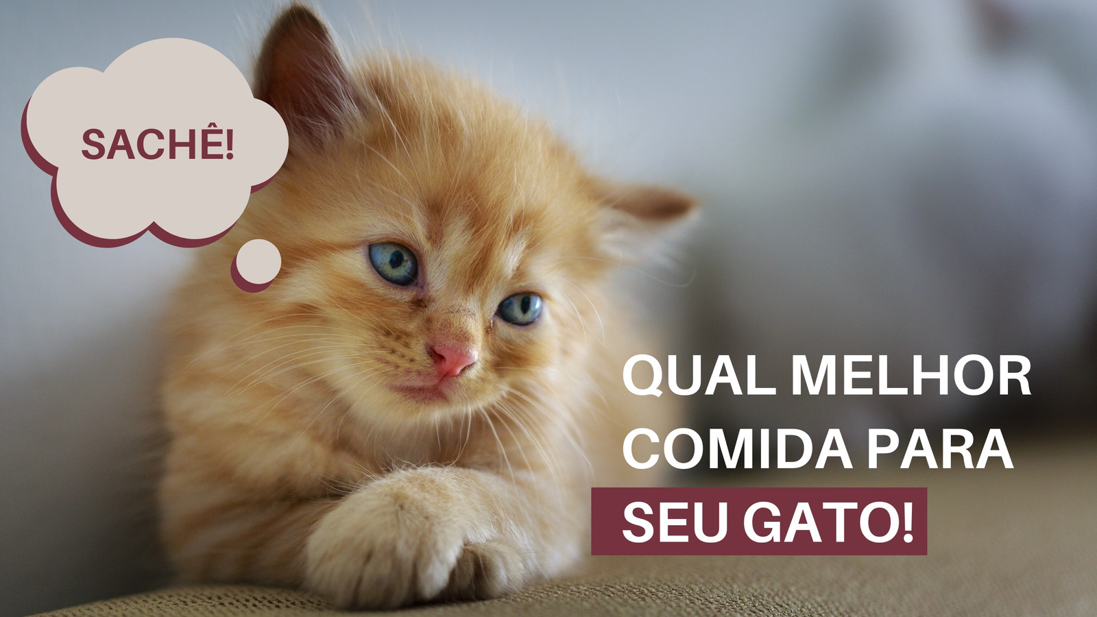 Download do APK de Fazer Gato Mágico para Android