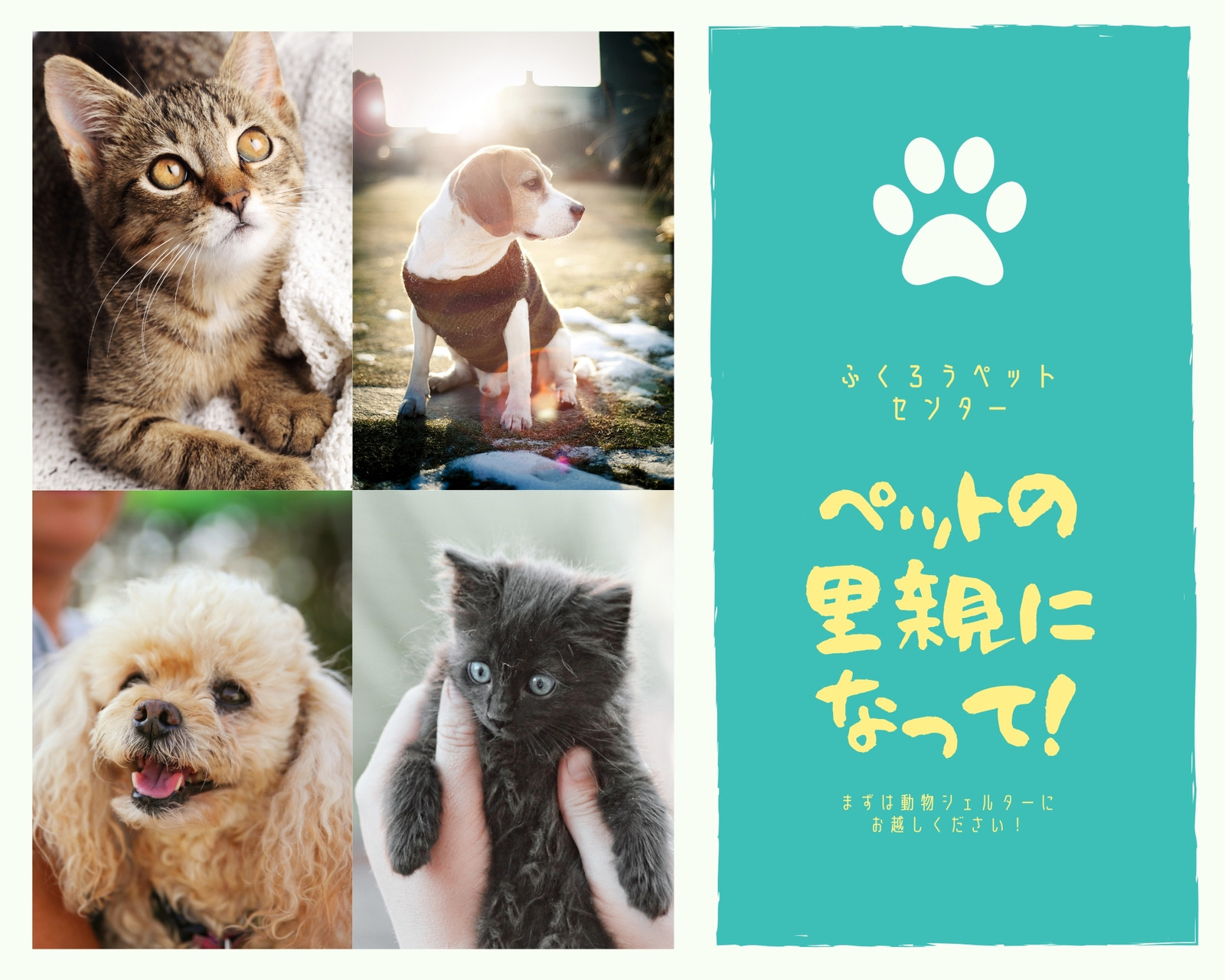 ペット写真コラージュテンプレートでおしゃれかわいい犬や猫のフォト