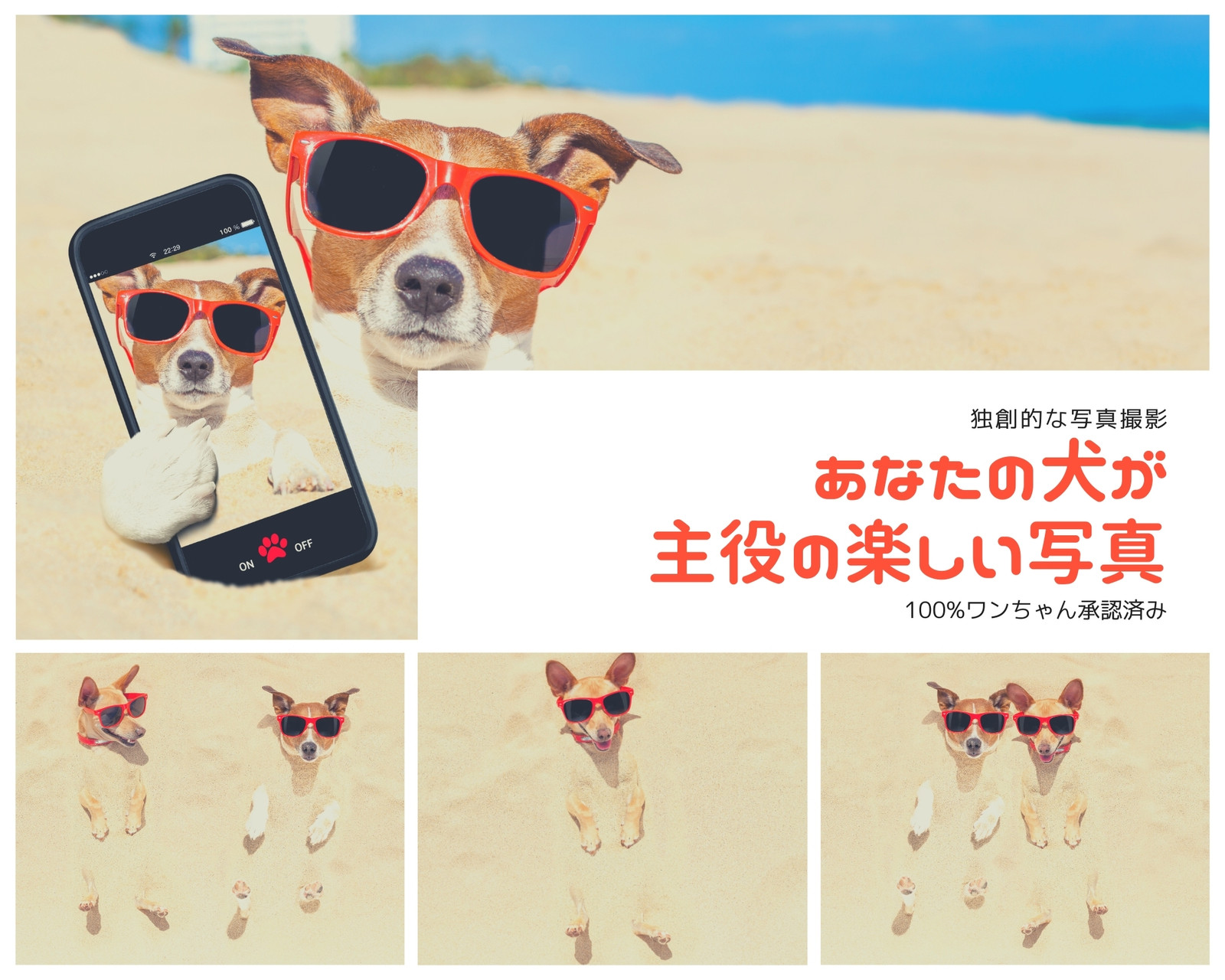 ペット写真コラージュテンプレートでおしゃれかわいい犬や猫のフォト