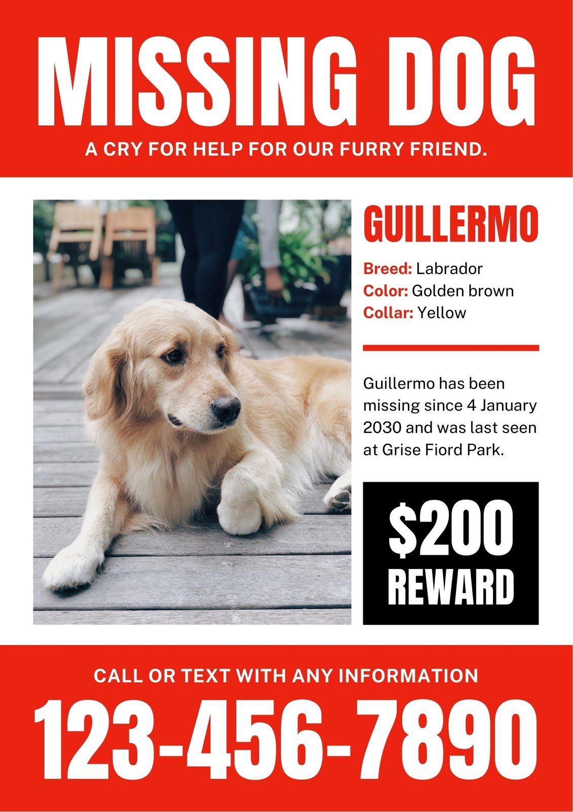 Free Lost Dog Flyer Printable