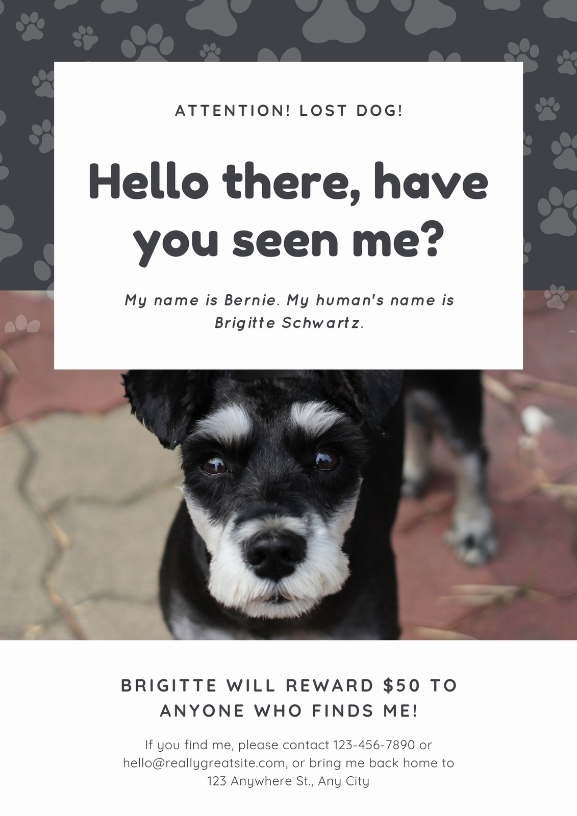 Free printable, customizable lost dog poster templates Canva