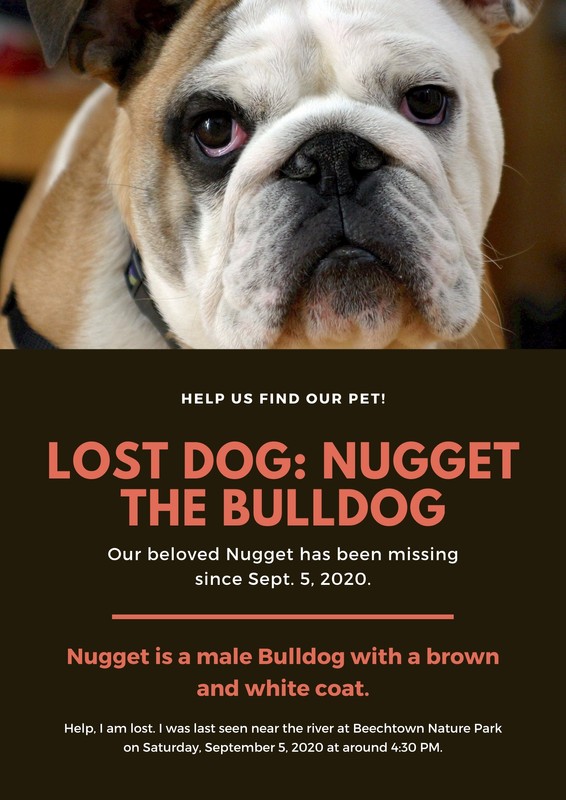 free-printable-customizable-lost-dog-poster-templates-canva