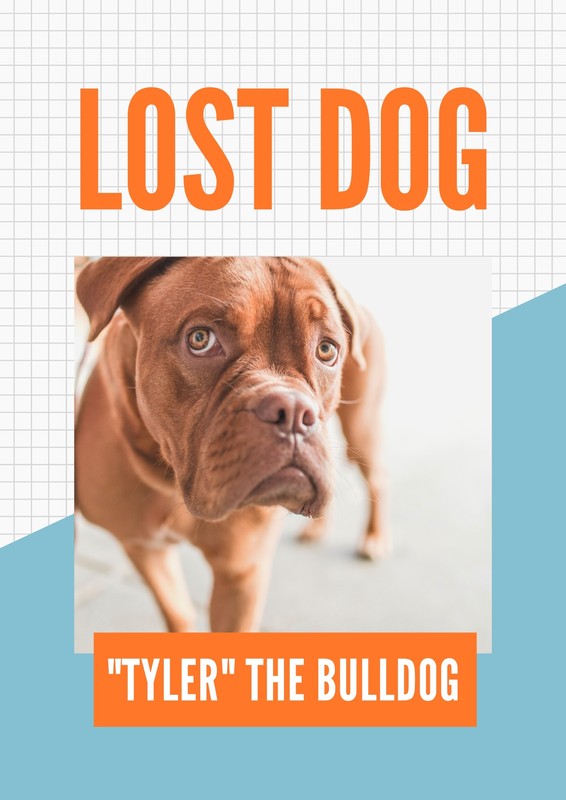 free-printable-customizable-lost-dog-poster-templates-canva