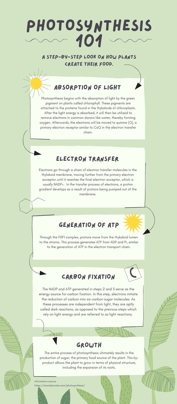 Green Organic Natural Photosynthesis Biology Infographic Templates By Canva
