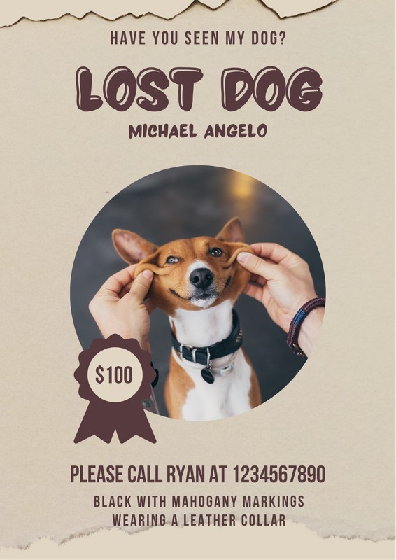 Free, printable, customizable lost dog flyer templates Canva