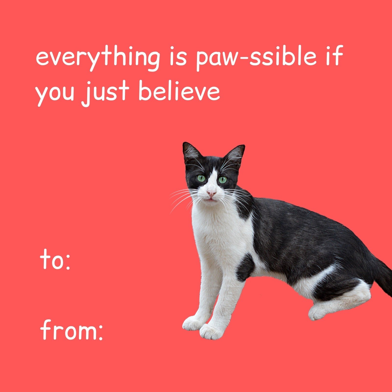 motivational cat meme