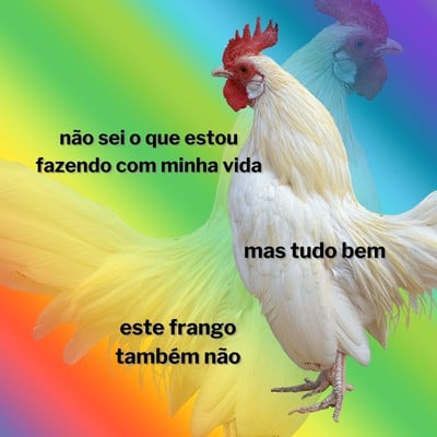 memes do twitter em português  Escola engraçada, Memes em