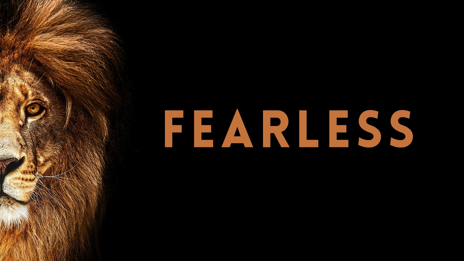 fearless background