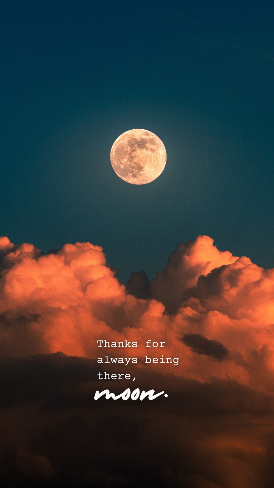 Thank You for Everything!, co11ie, thank, thankfulness, smiling, happy,  b1essing, HD wallpaper | Peakpx