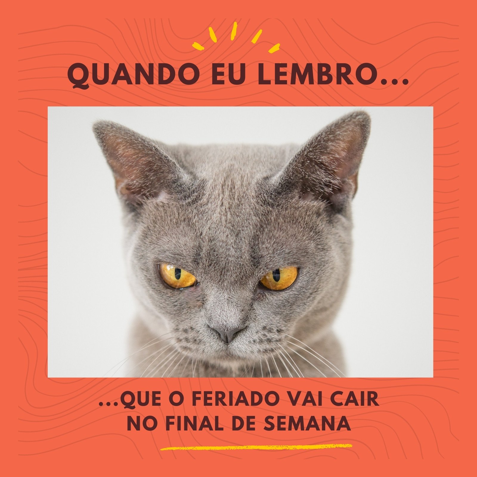 Criar vídeos de memes grátis - Canva