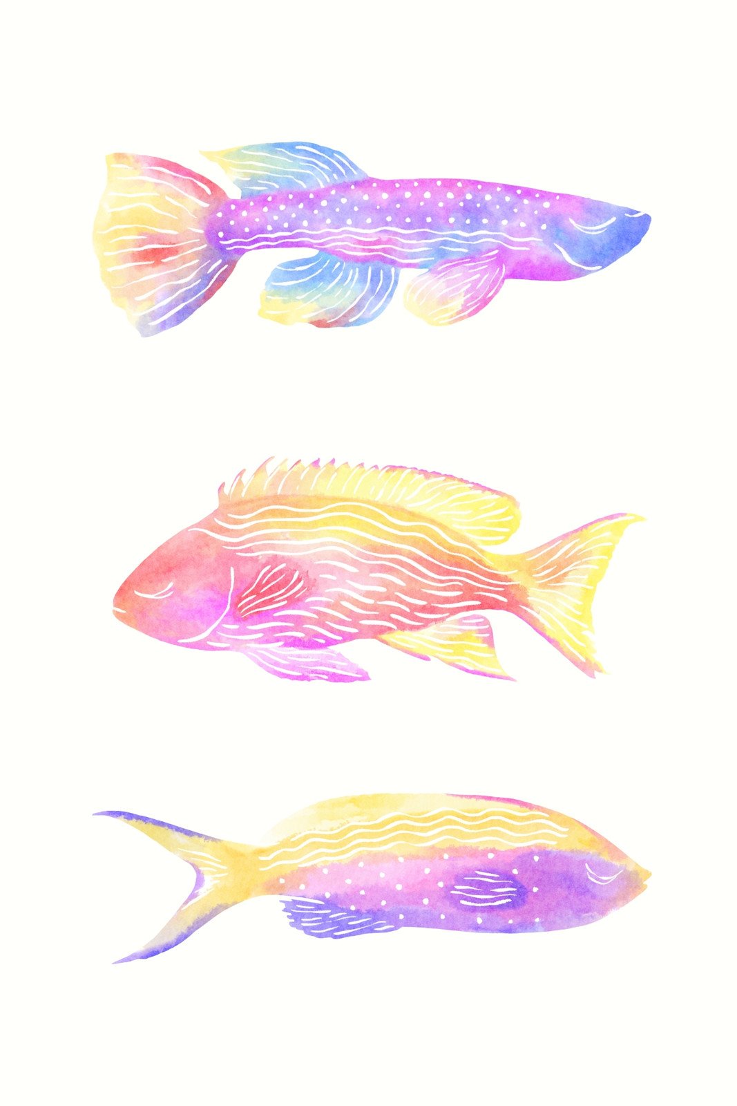 魚イラスト 画像 無料テンプレート Canva