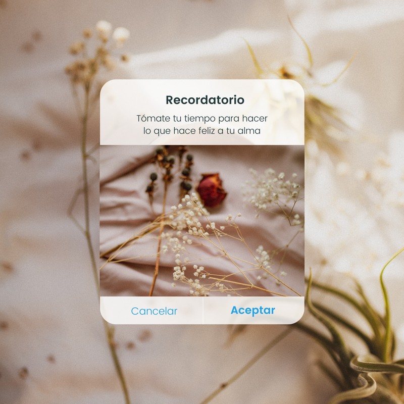 Plantillas Recordatorio Gratis Y Editables Canva 9732