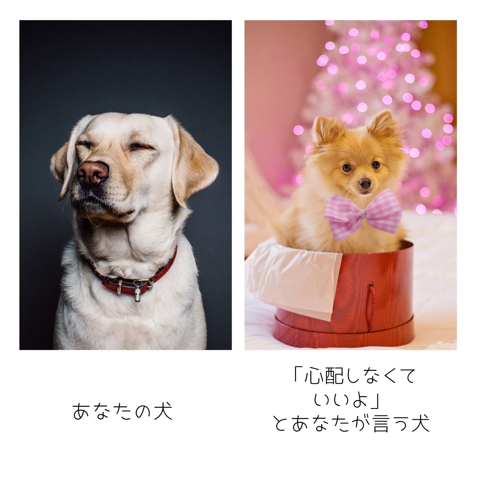 3ページ 犬イラスト 画像 無料テンプレート Canva