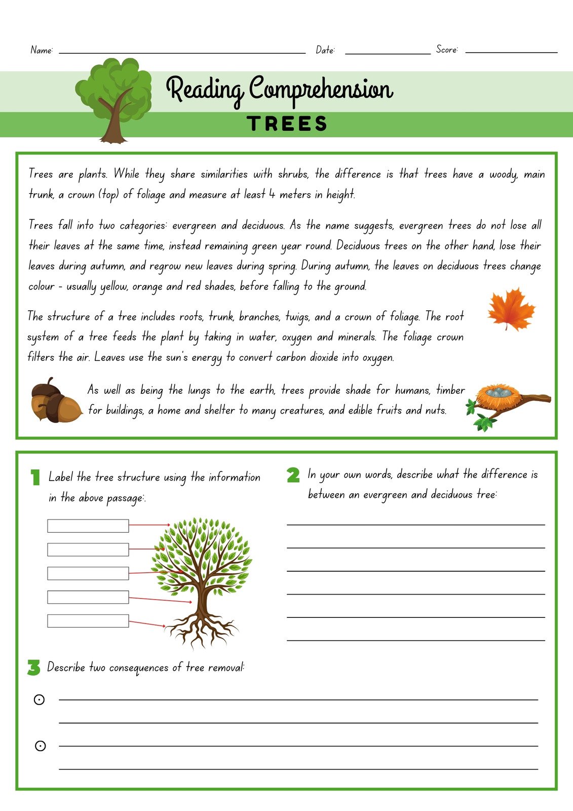 page 5 free customizable science worksheets canva