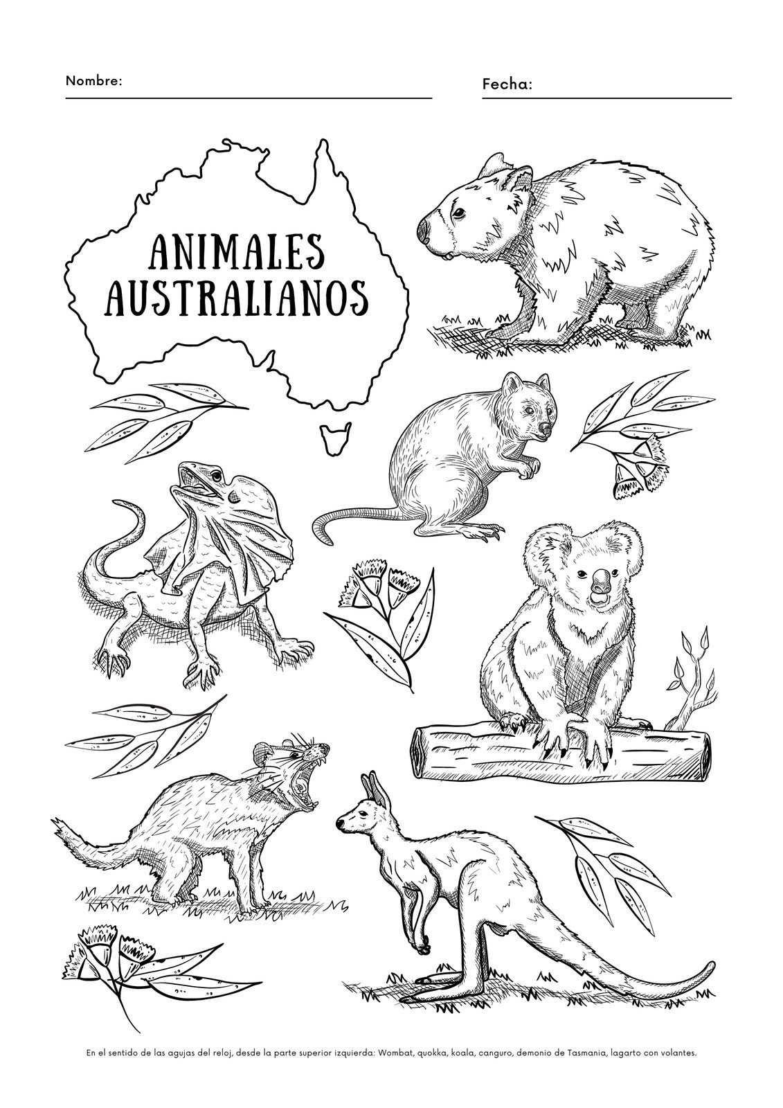 Hoja de trabajo con animales australianos en blanco y negro para colorear
