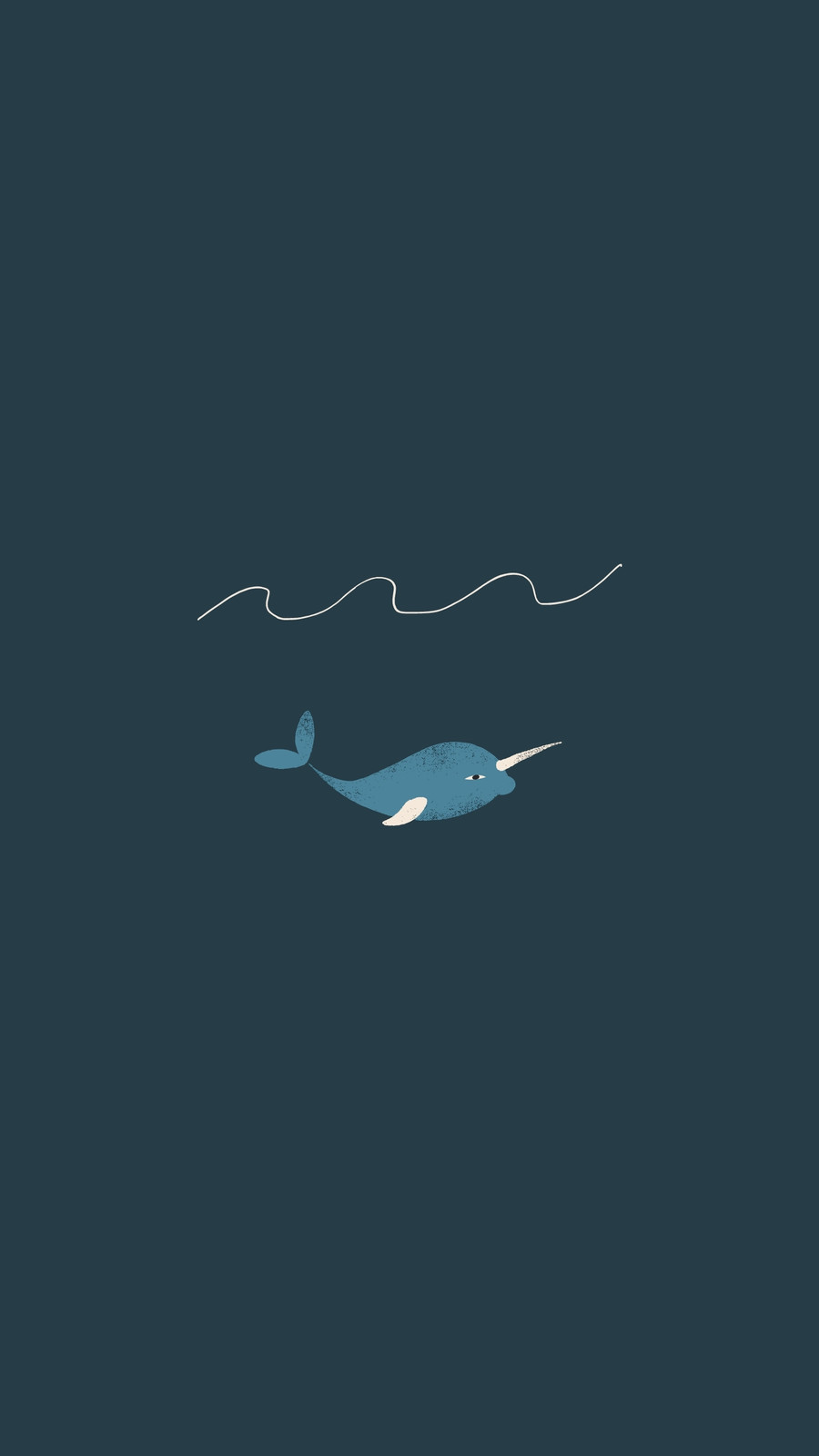 Narwhal HD wallpapers  Pxfuel