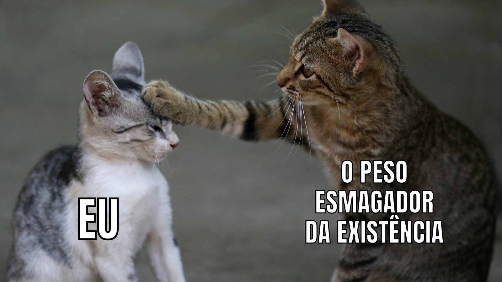 Among Us memes Brasil em 2023  Frases engraçadas de filmes, Memes  engraçados, Frases engraçadas para rir