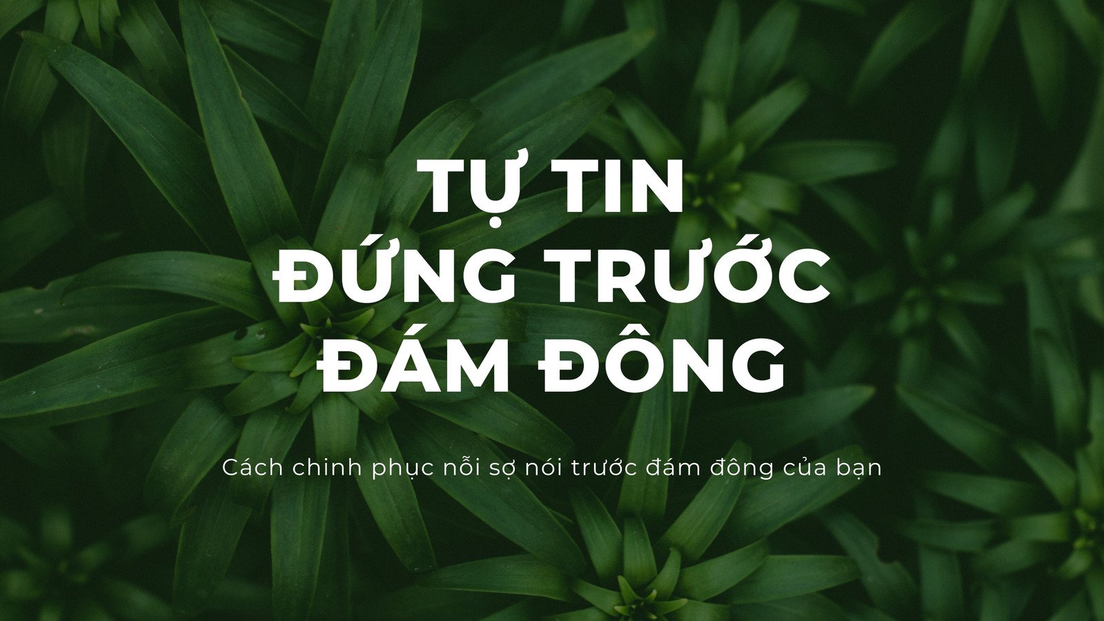 Bài thuyết trình mẫu: Bài thuyết trình mẫu đẹp mắt này sẽ trình bày thông tin của bạn một cách sống động và ấn tượng. Với thiết kế chuyên nghiệp và độc đáo, bài thuyết trình của bạn sẽ chắc chắn thu hút sự chú ý của khán giả.