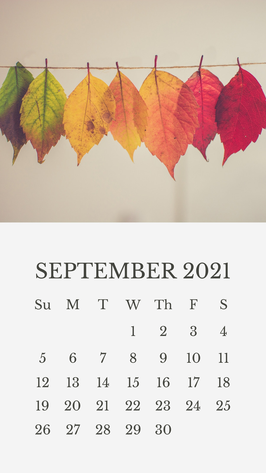 Csi Fall 2024 Calendar Kipp Seline