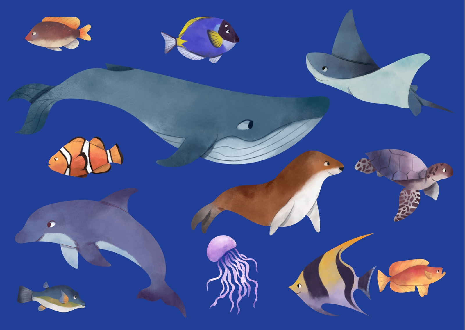 Azul Animales marinos Conexiones Impreso Postal