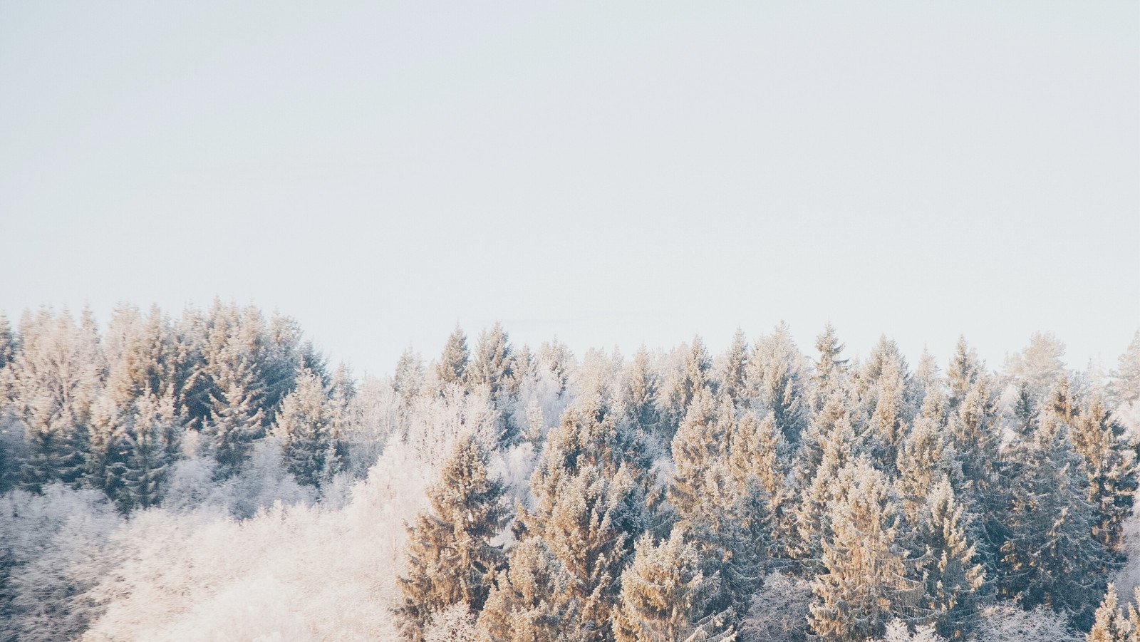 Free downloadable winter Facebook cover templates | Canva