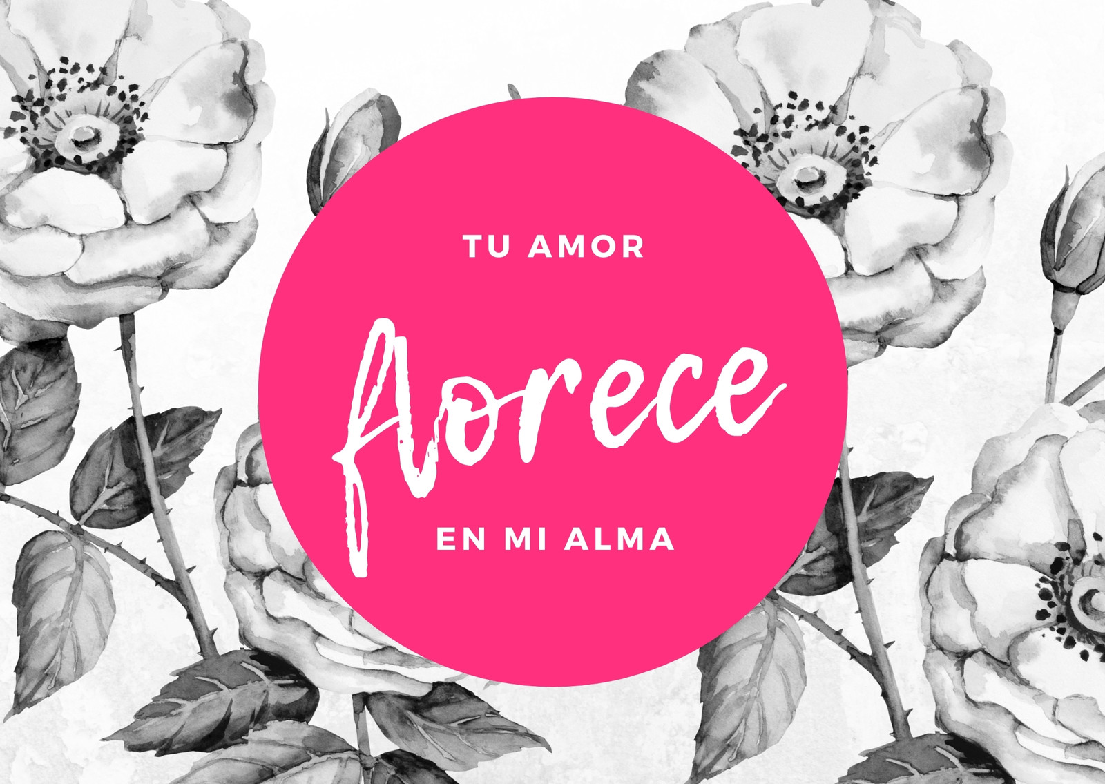 Rosa Floral Negro y Blanco Amor Postal