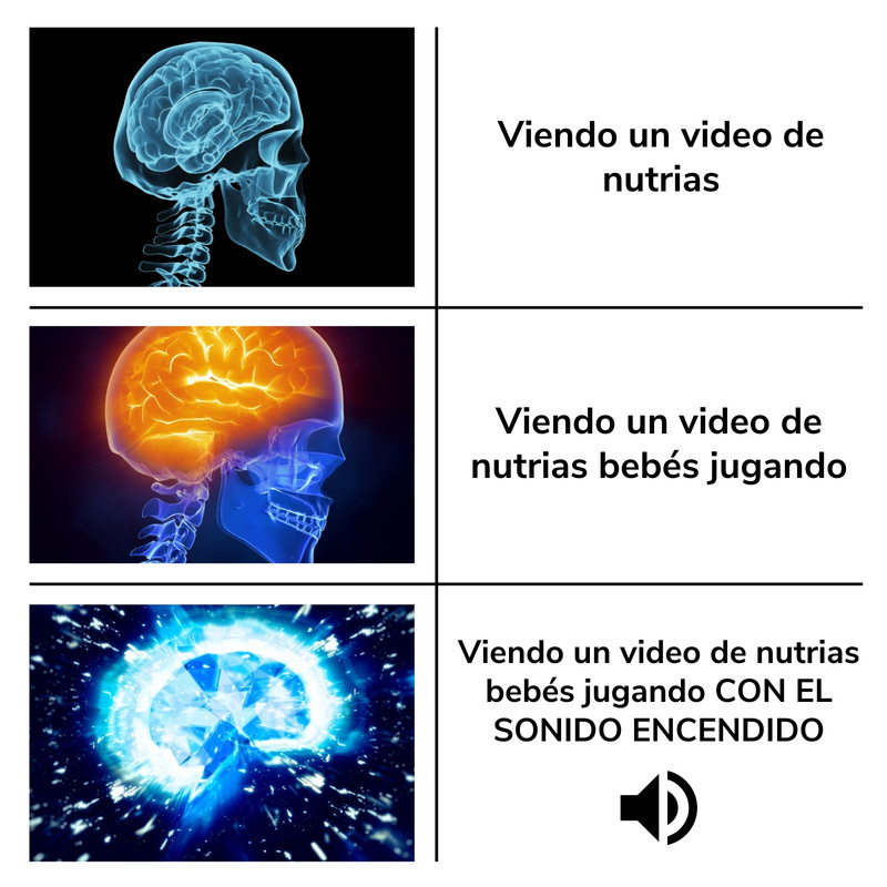 Plantillas Para Crear Los Mejores Memes Gratis Canva The Best Porn Website 0615