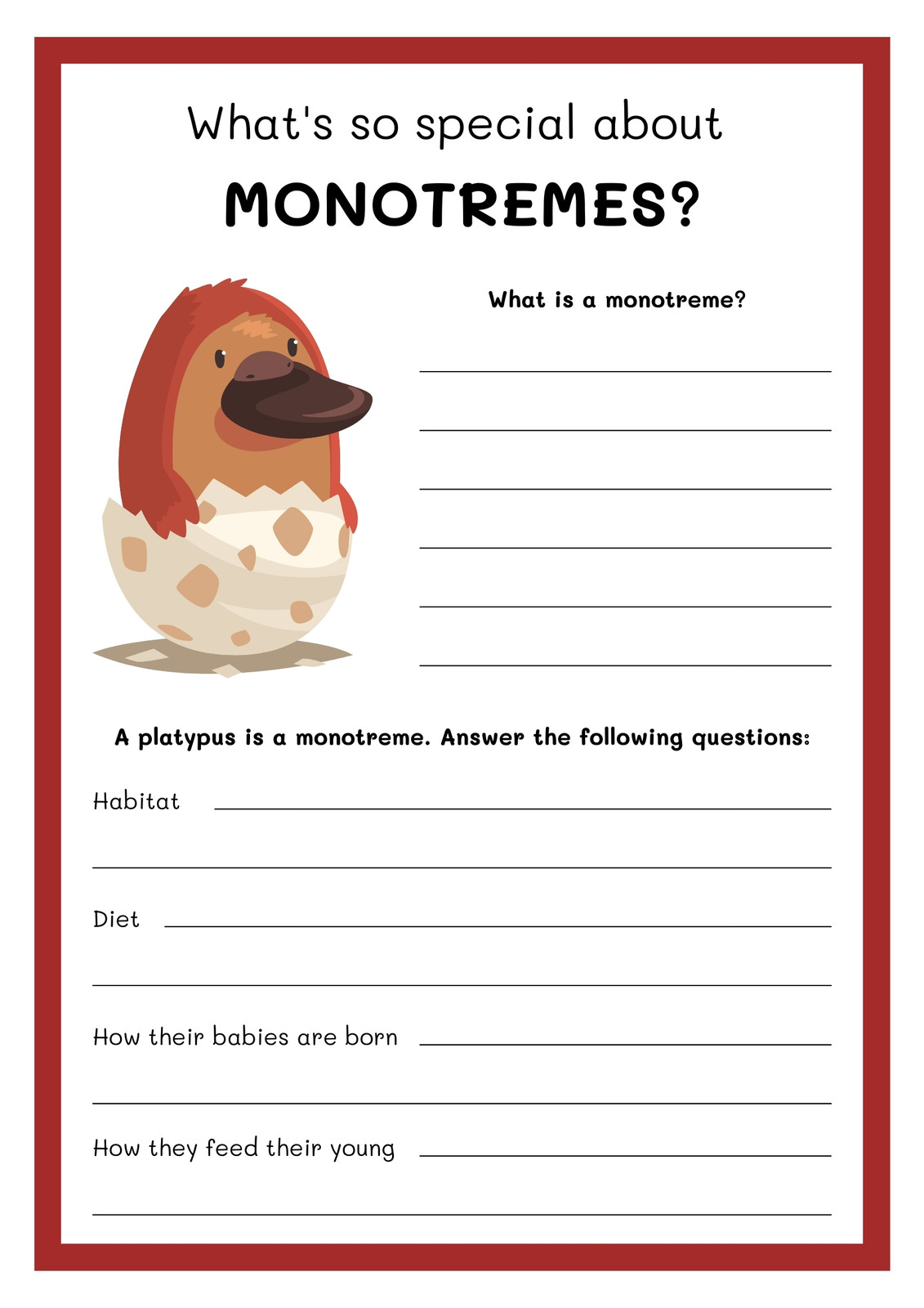 page 11 free customizable science worksheets canva