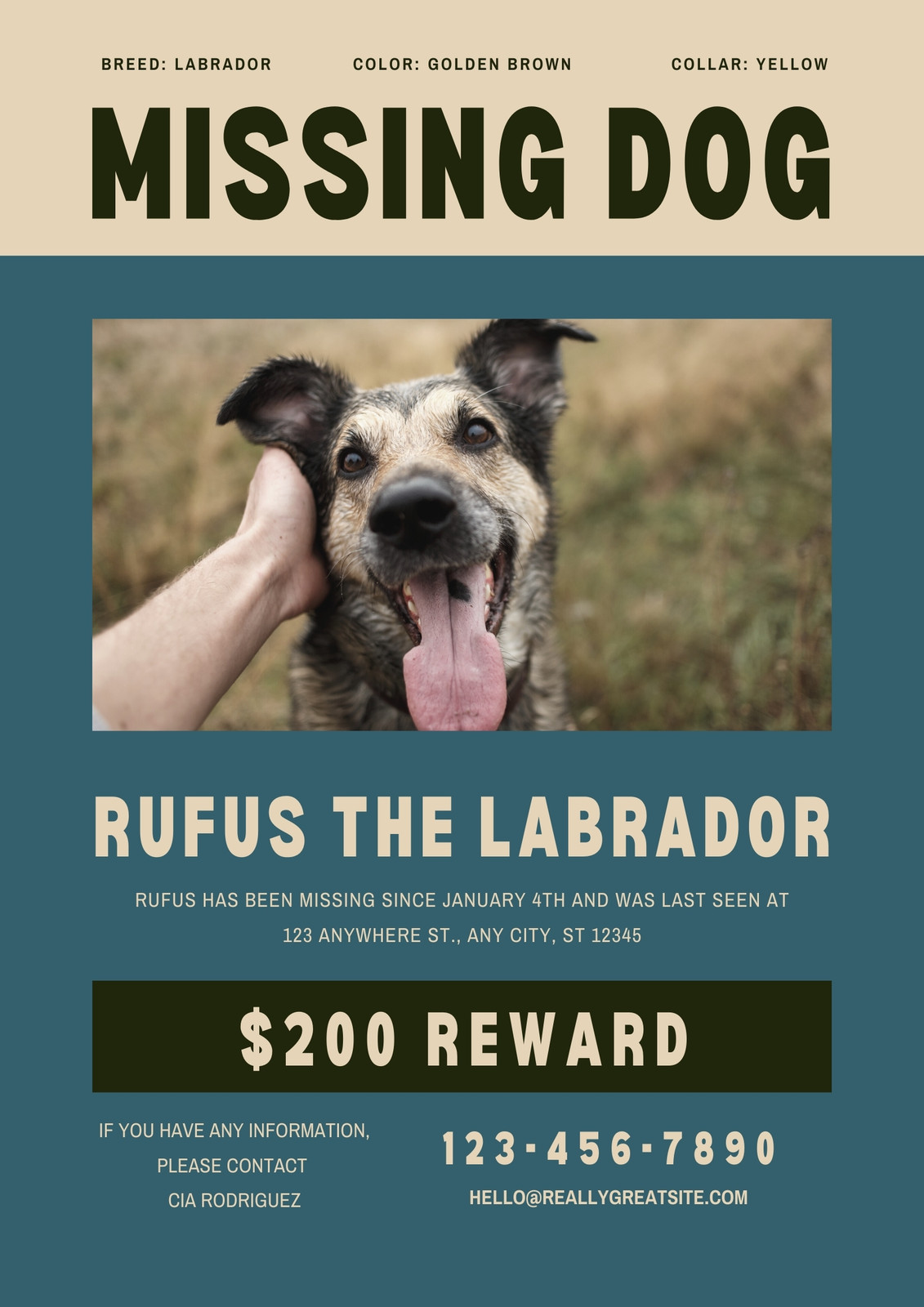 what-to-put-on-a-found-dog-flyer
