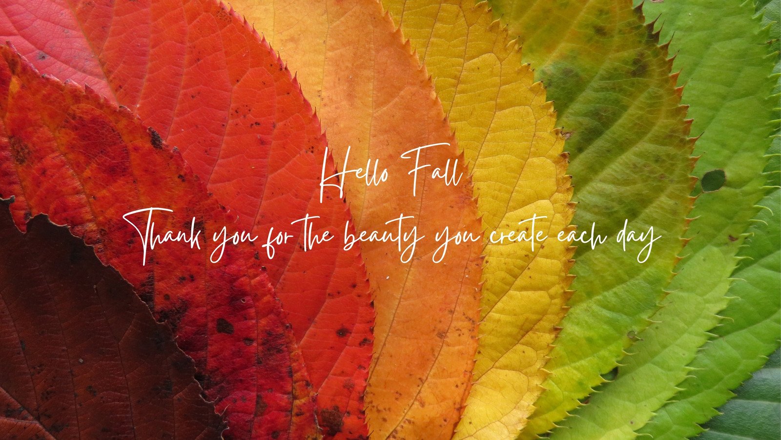 fall facebook cover photos with scripture