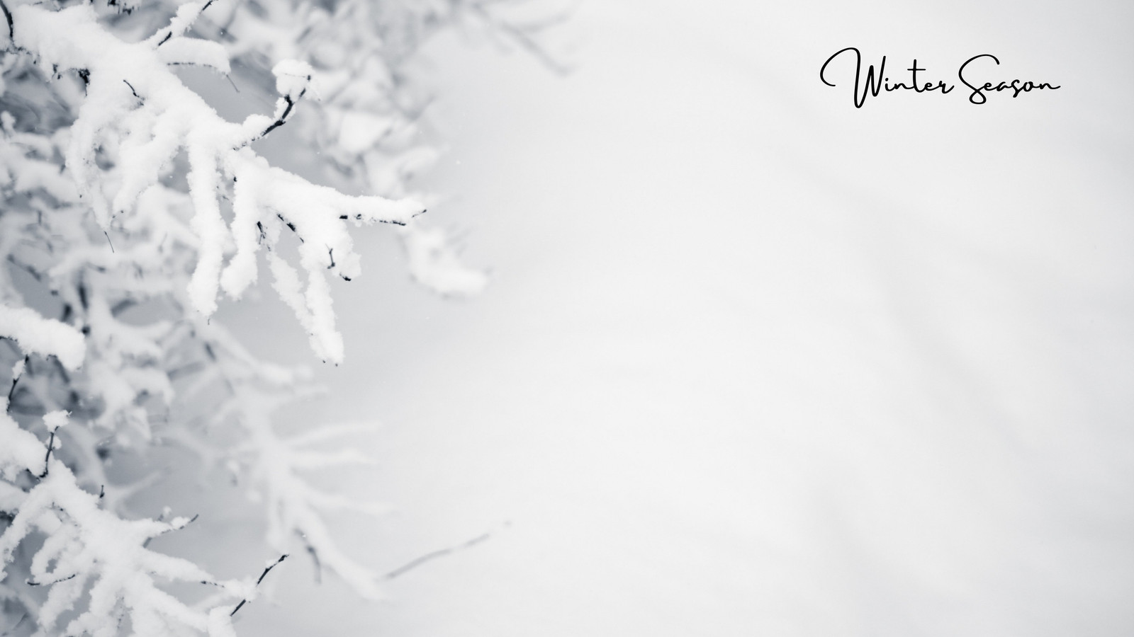 Free and customizable winter templates